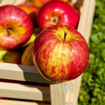 Εύκολη συνταγή για μήλα ψητά